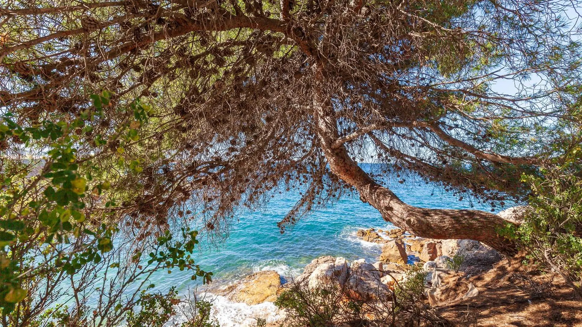 Villa Familidy Bandol Francie